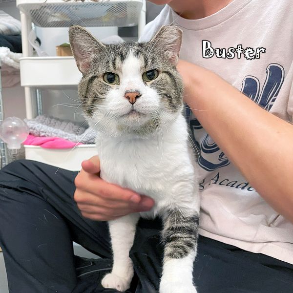 Buster @pawz Pet Cafe photo 1