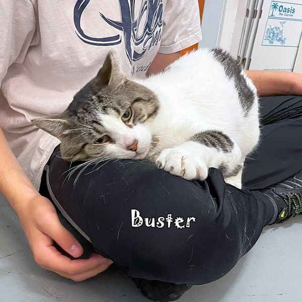 Buster @pawz Pet Cafe thumbnail 3