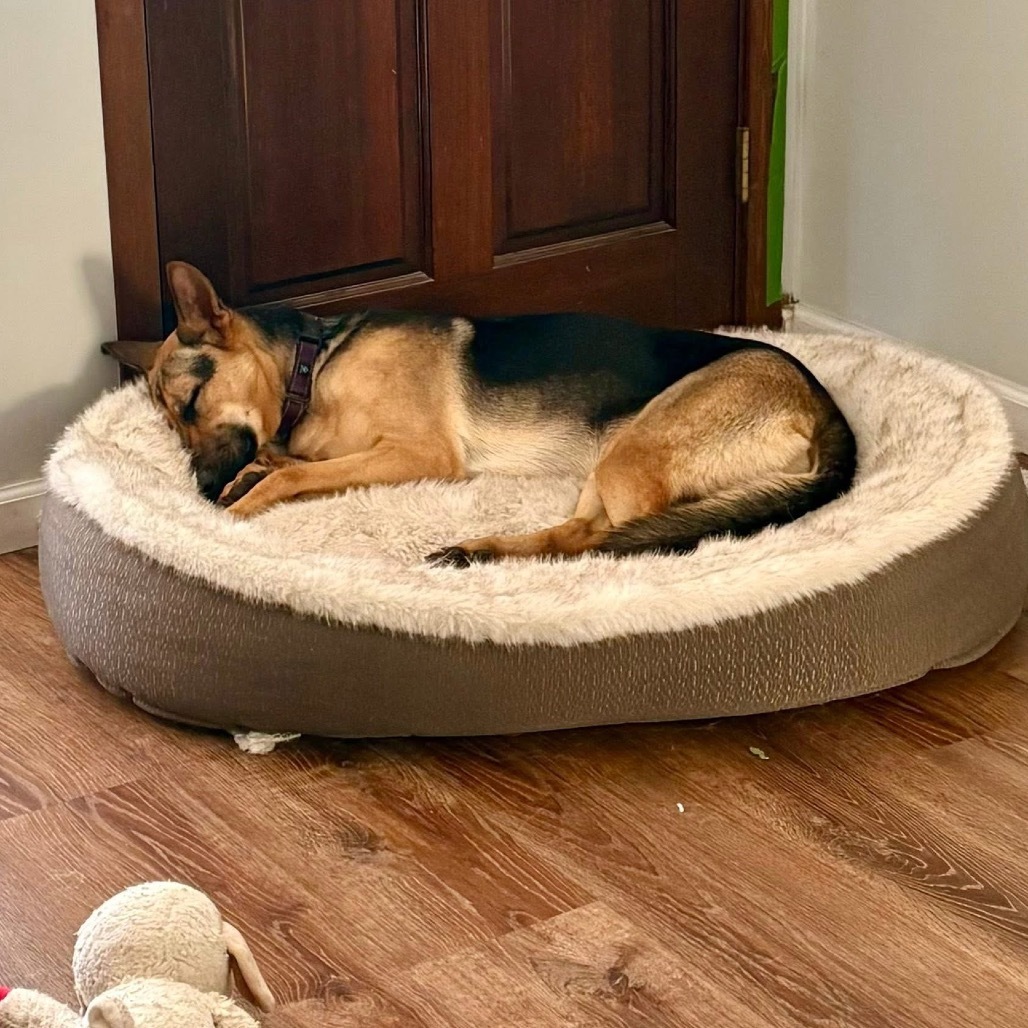 Heidi
