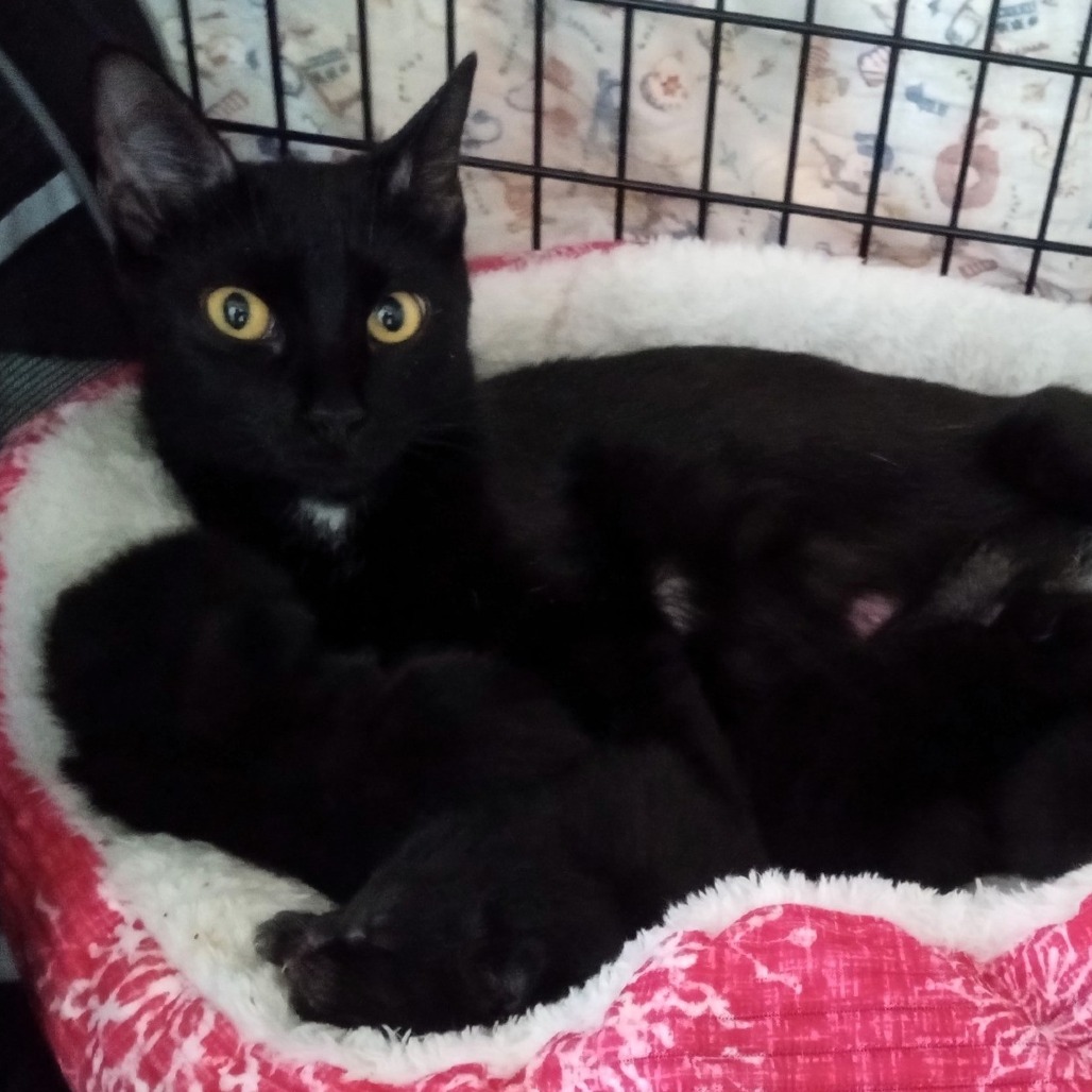 Luna