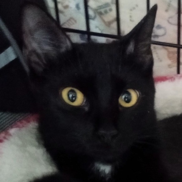 Luna
