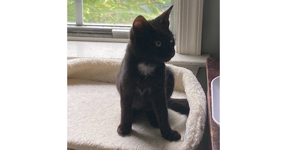 Zod