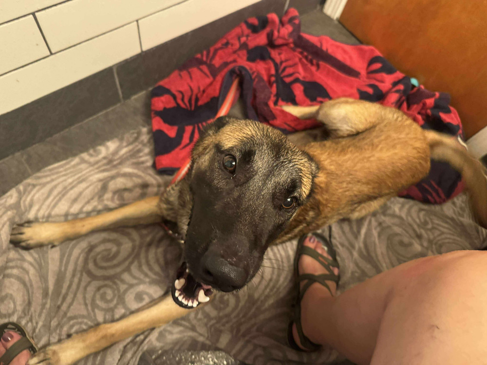 Tango - located in MI