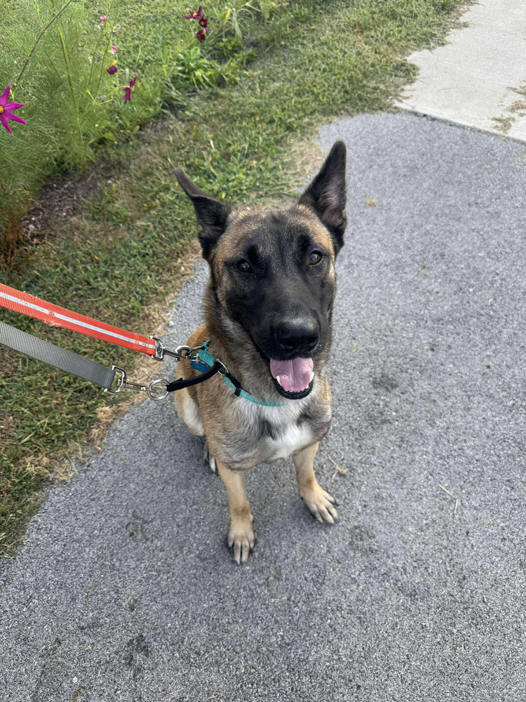 Tango - located in MI