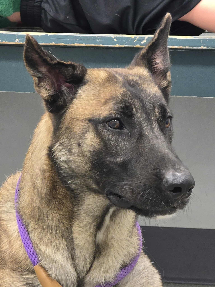 Tango - located in MI