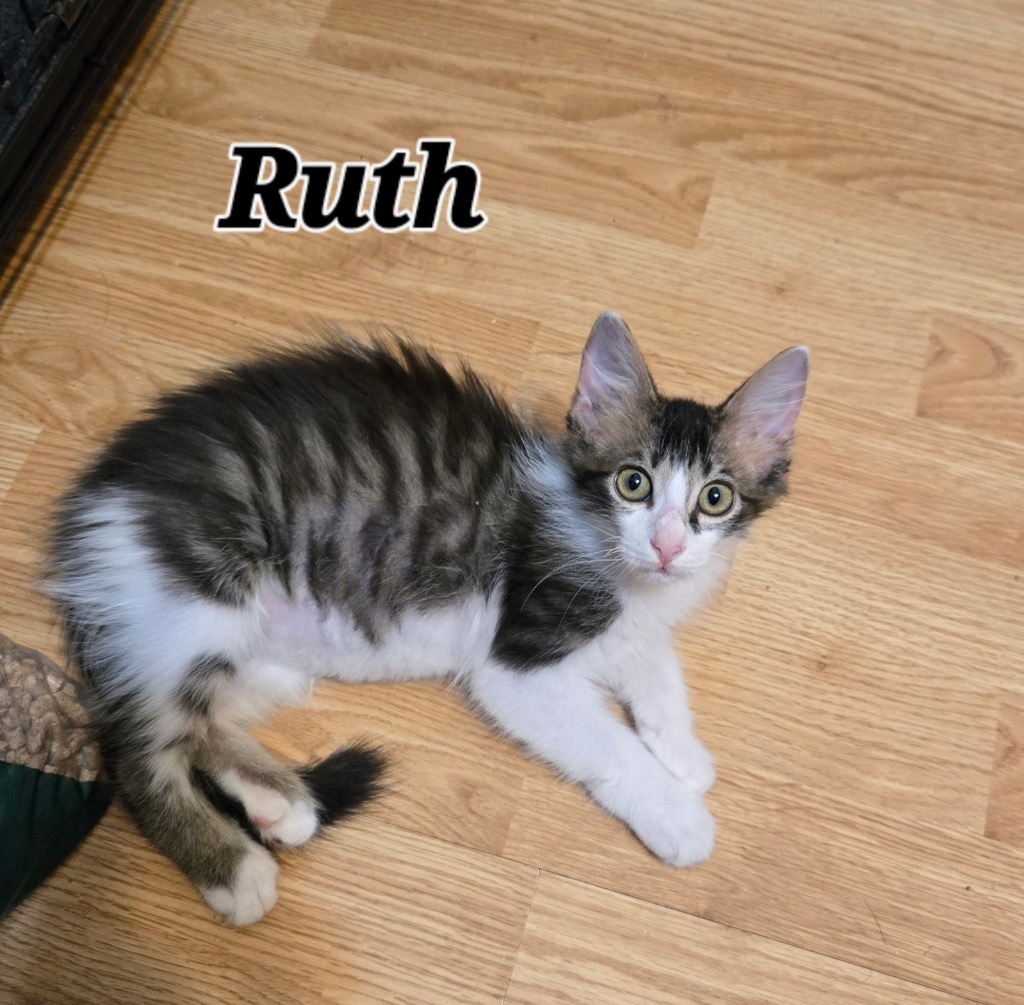 Ruth