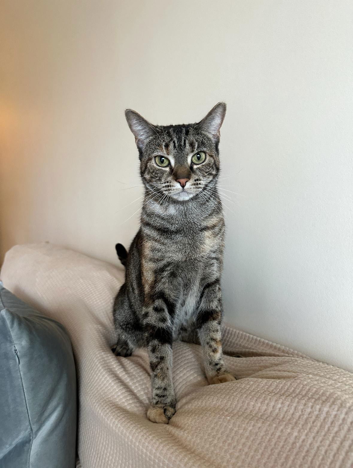 LUNA