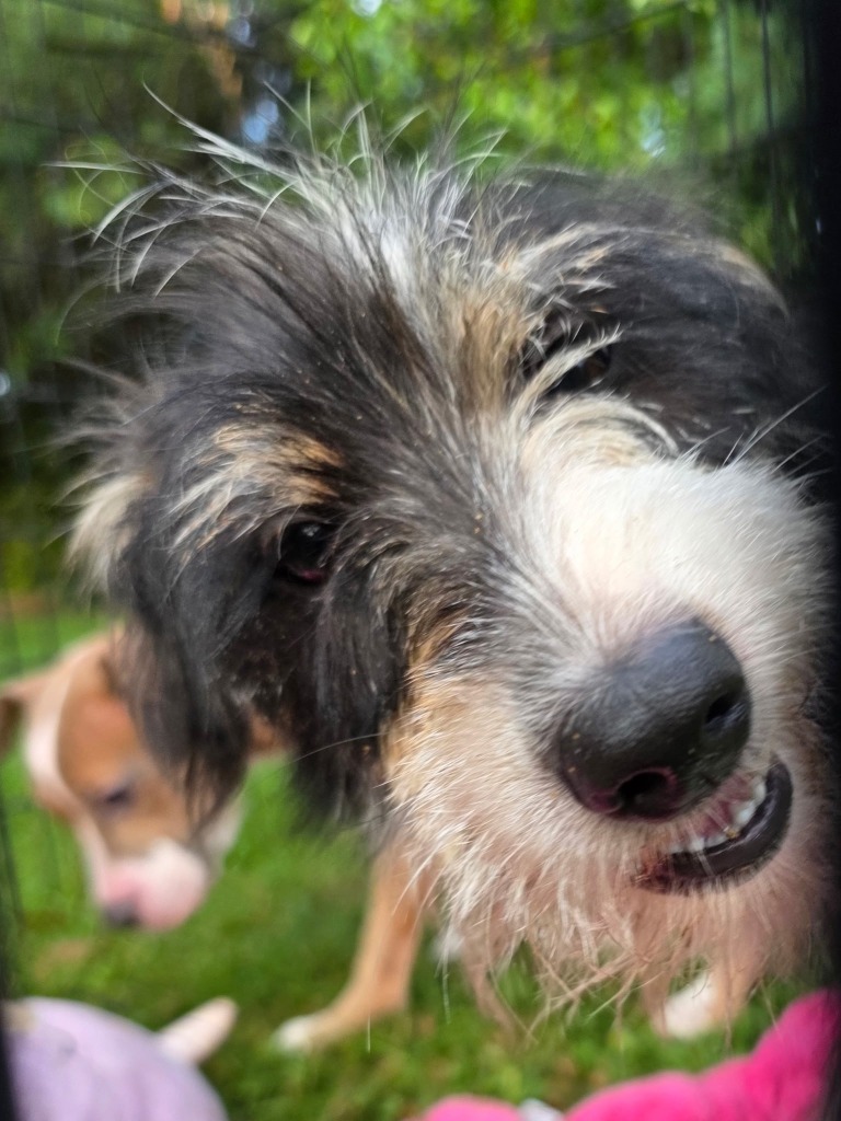 Tilly