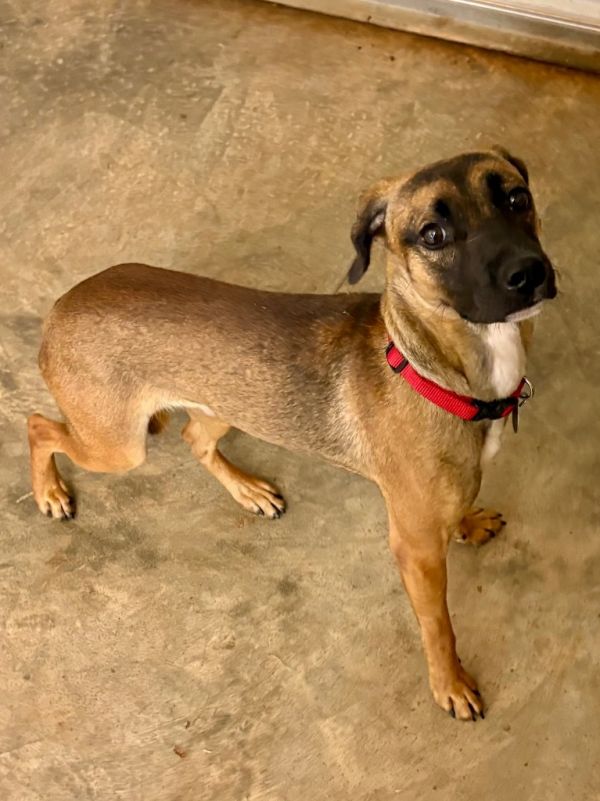 Kadie Belle thumbnail 2