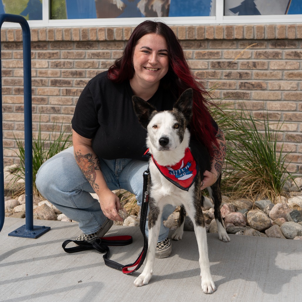 Quinn, an adoptable Mixed Breed in Cheyenne, WY, 82007 | Photo Image 4