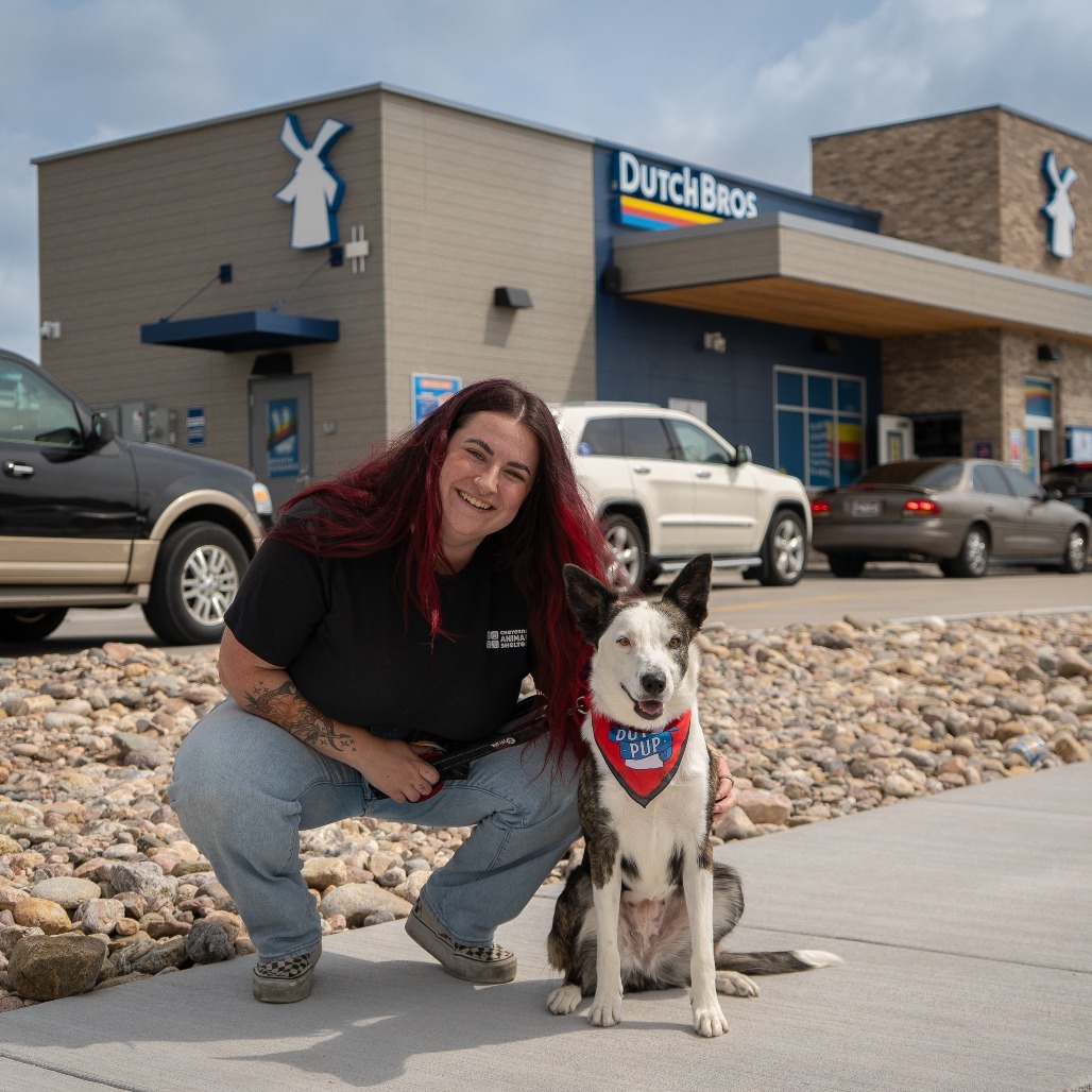 Piper, an adoptable Mixed Breed in Cheyenne, WY, 82007 | Photo Image 6