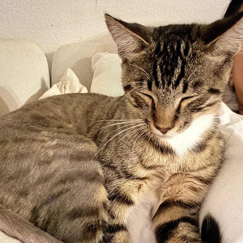 Zuko
