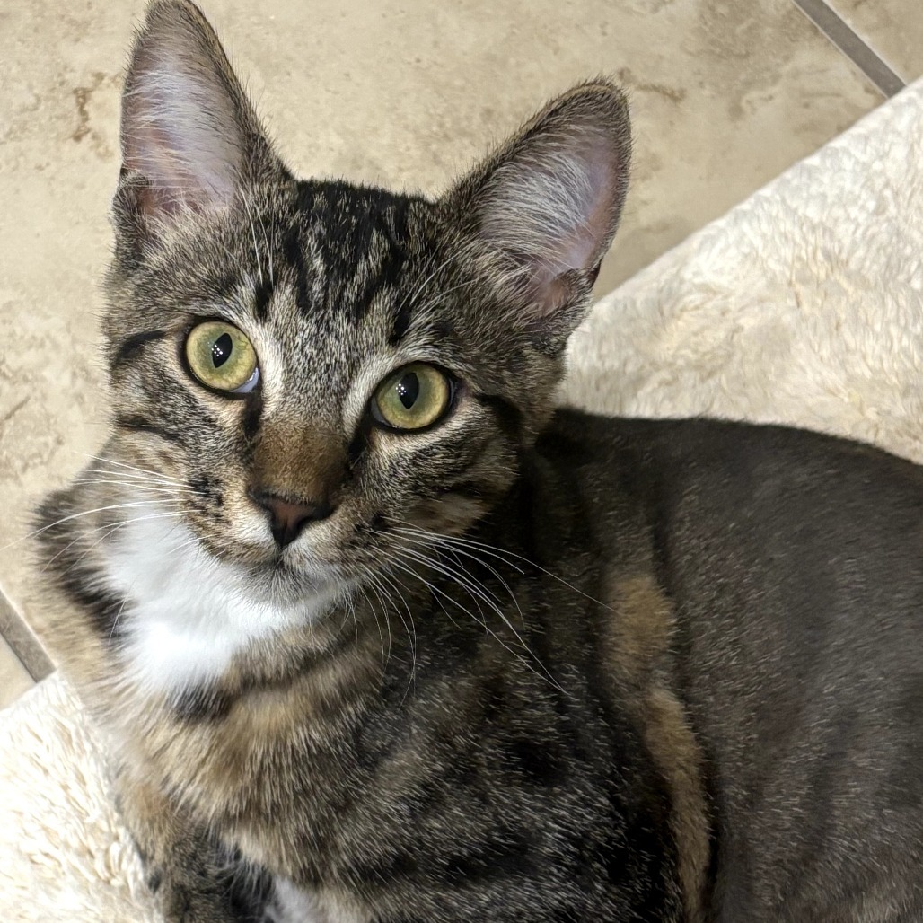 Zuko