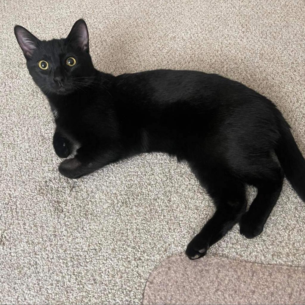 Oliver