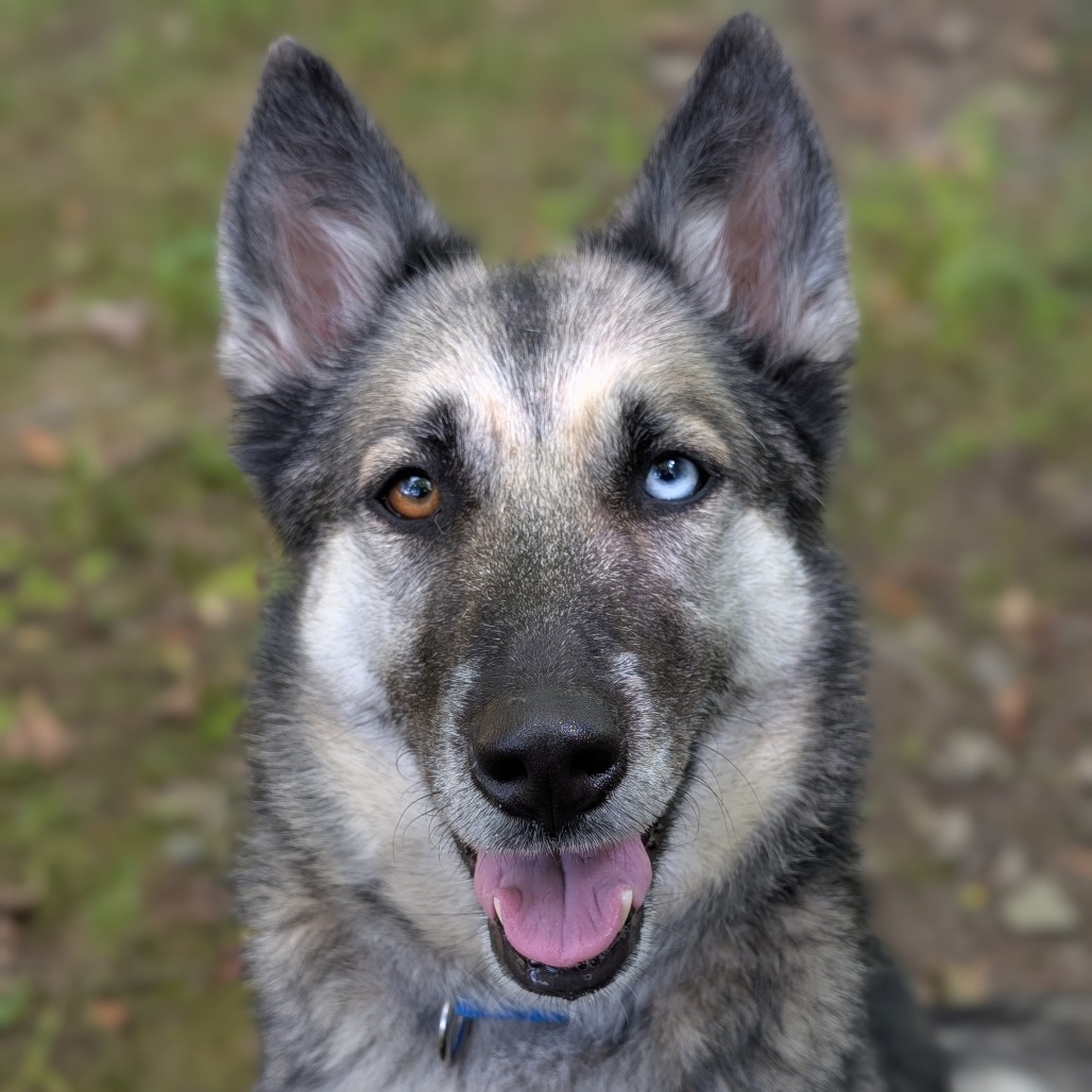 Freyja