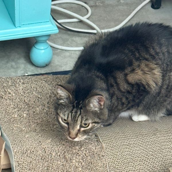 Java