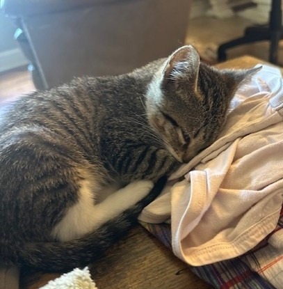 Milo