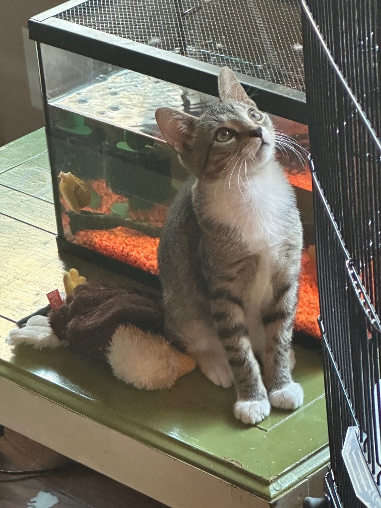 Milo