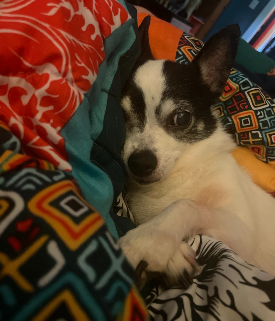 Ripley