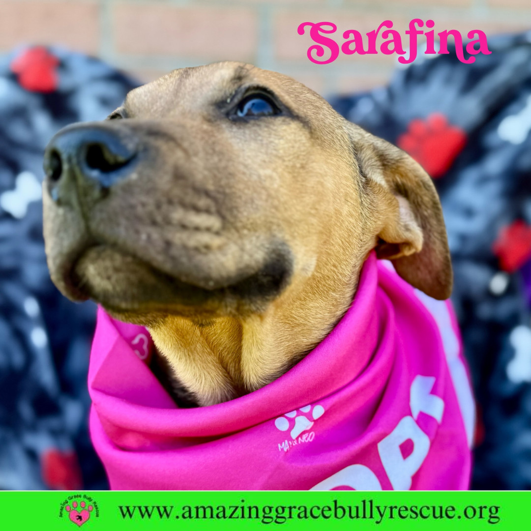 Sarafina