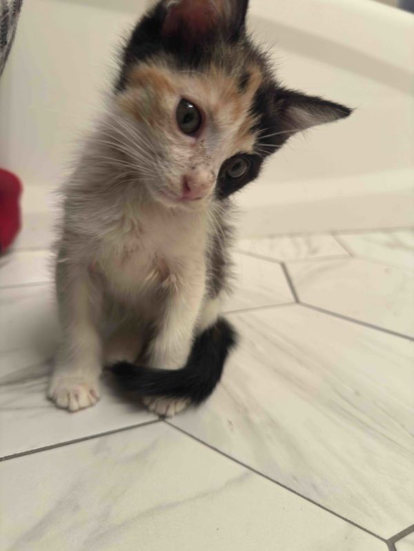 Mia