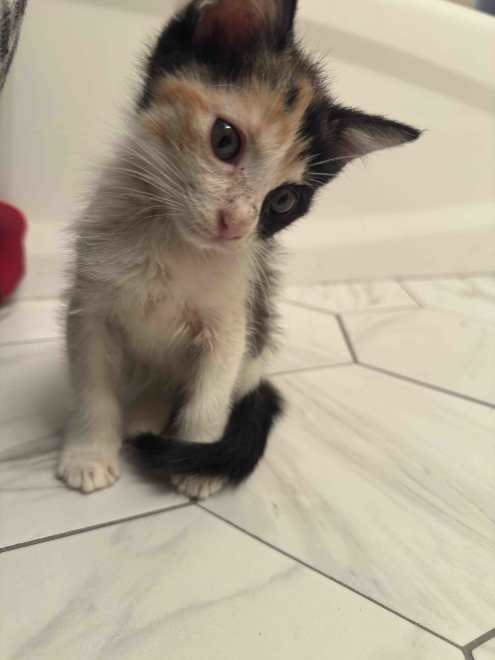 Mia