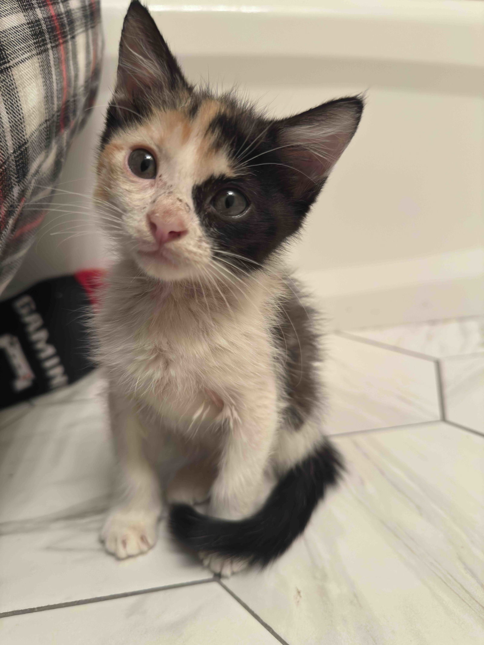 Mia