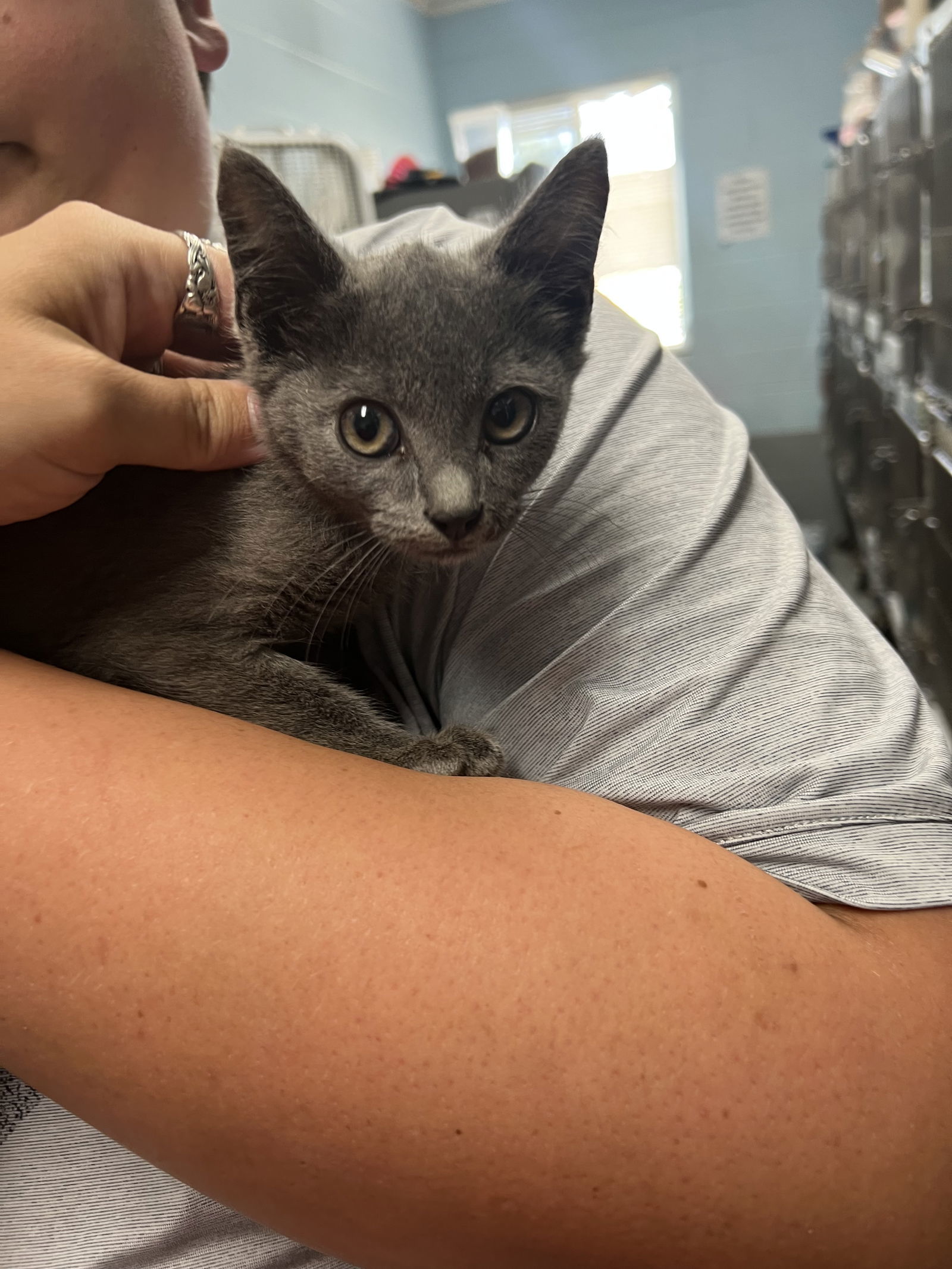 Tairn: Not At shelter (Maia)