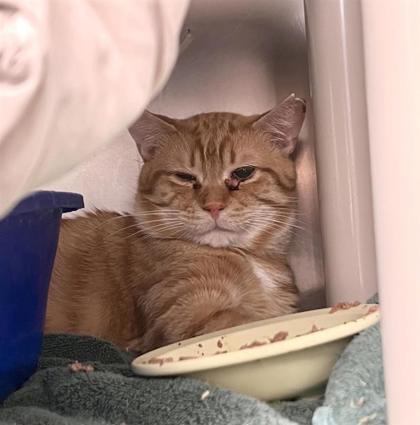 Ron