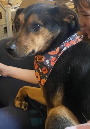 Luna fka Gruntilda