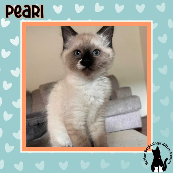 Pearl