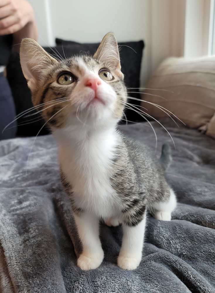 Teagan