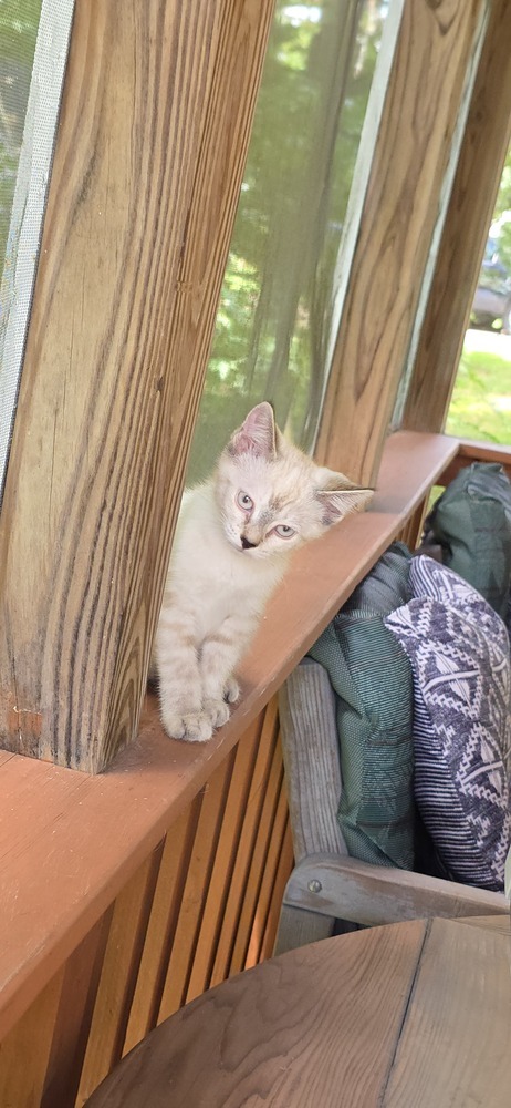 Luna