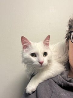 Yuki