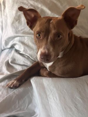 Coco