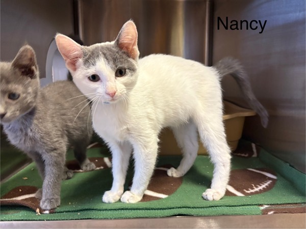 Nancy