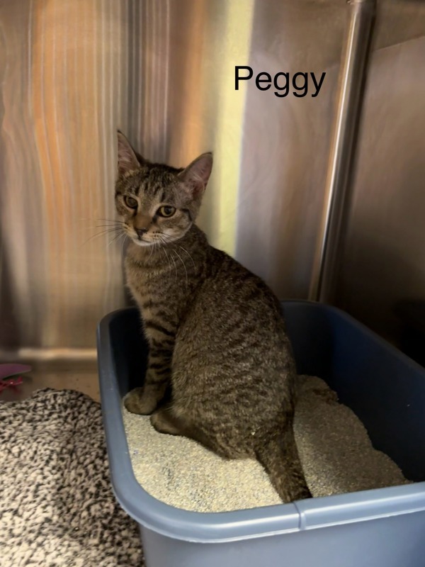 Peggy