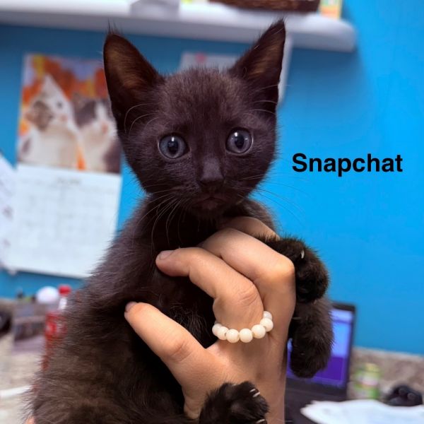 Snapchat