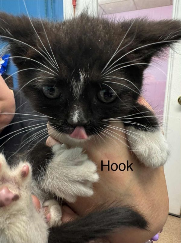 Hook