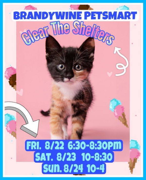 Brandywine PS Clear the Shelters Event Aug. 22-24