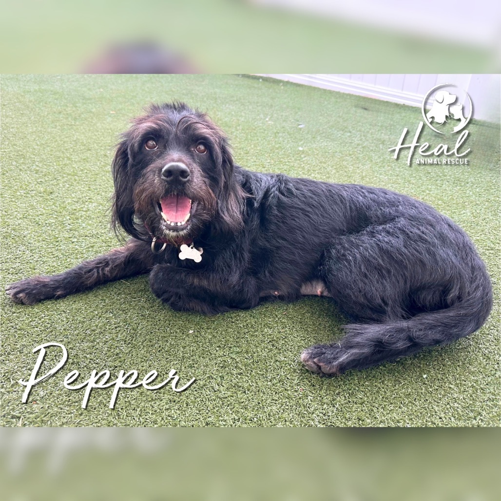 Pepper
