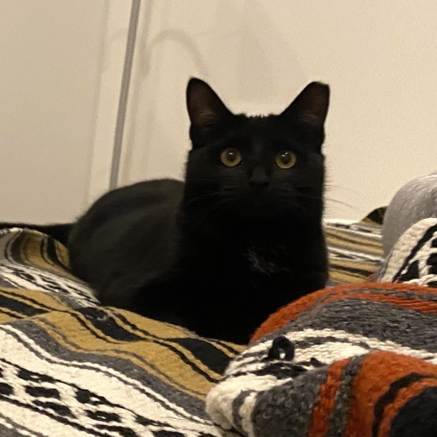 Bella