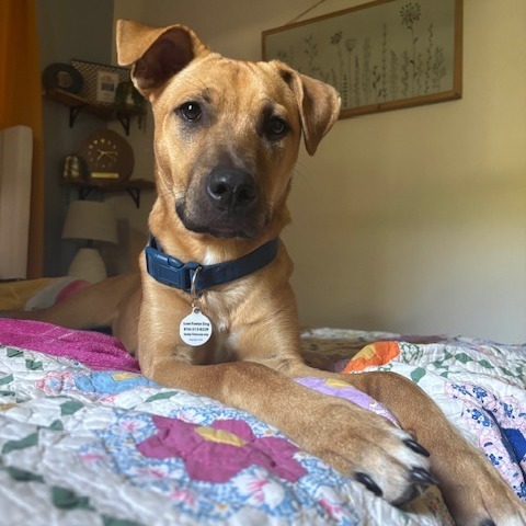 Rudy