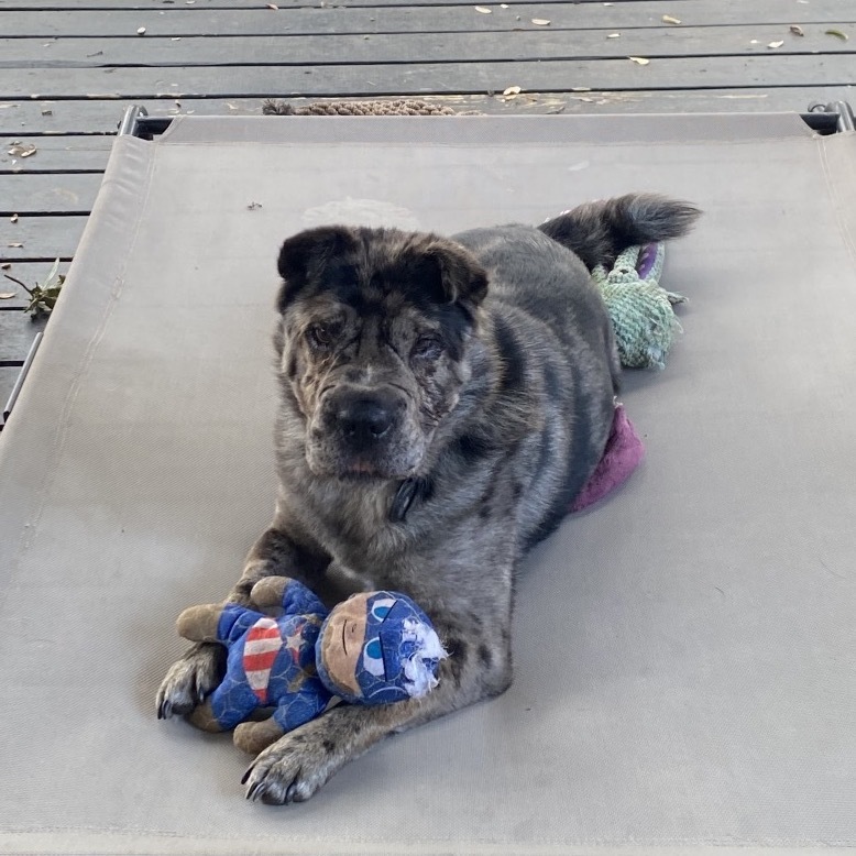 Mickey Merlin (Dallas)