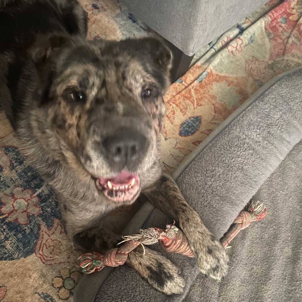 Mickey Merlin (Dallas)