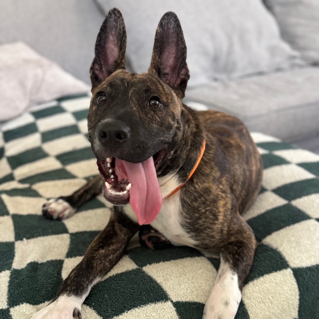 Zuko