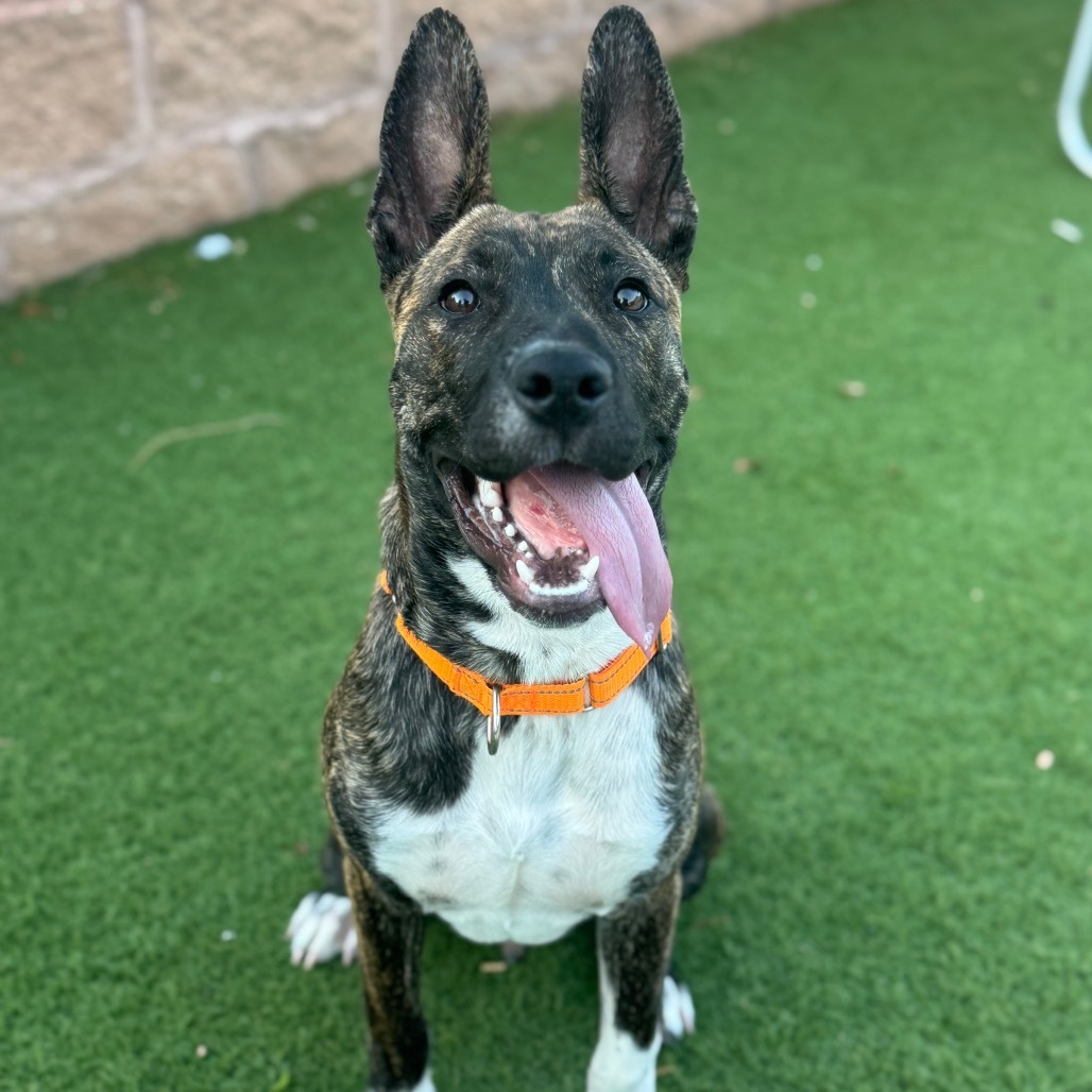Zuko