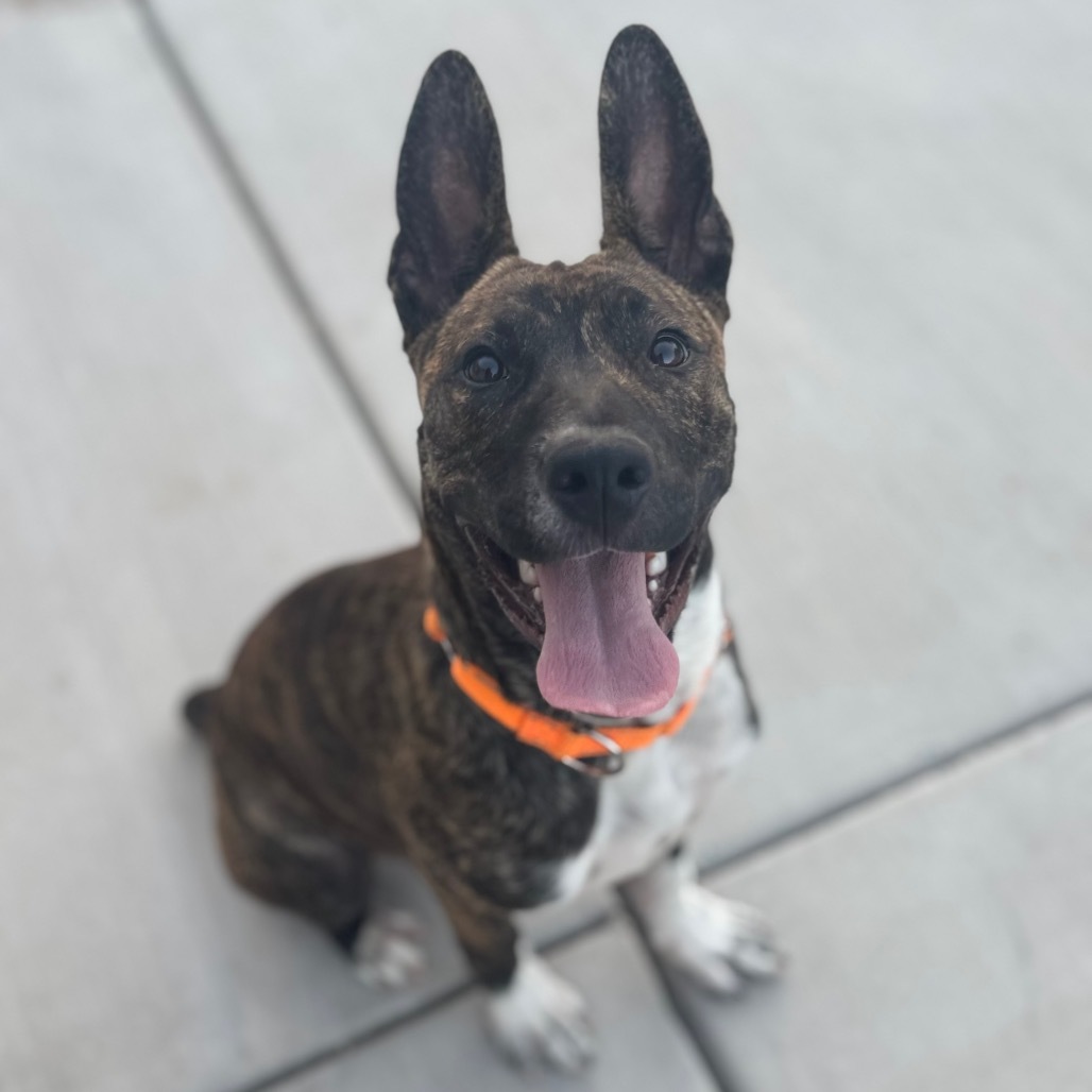 Zuko