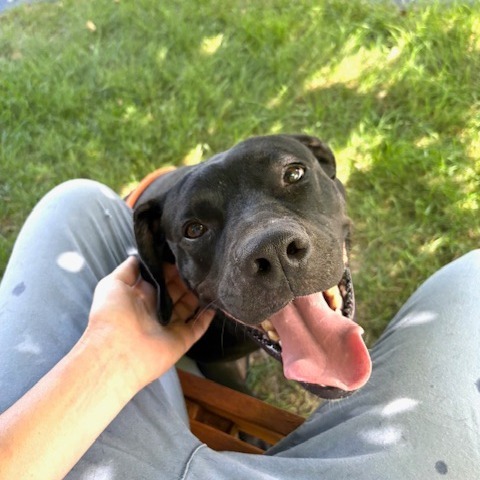Milo