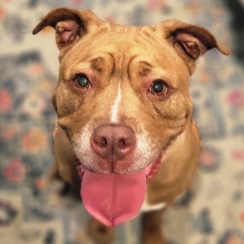 Penny